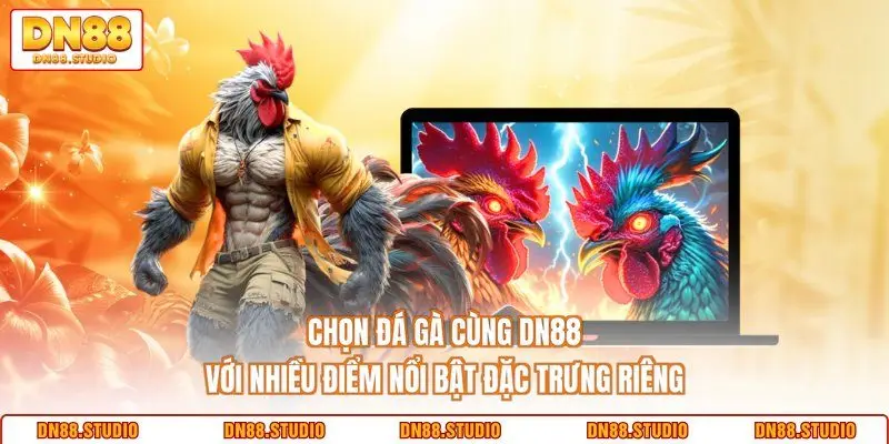 Chọn đá gà cùng DN88 với nhiều điểm nổi bật đặc trưng riêng