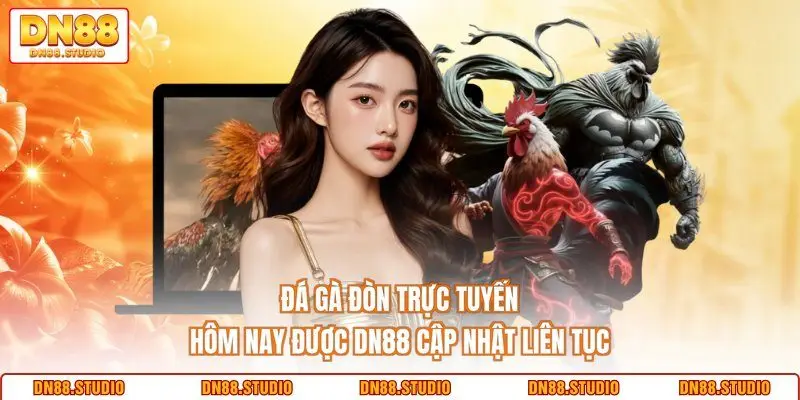Đá Gà Đòn Trực Tuyến Hôm Nay Được DN88 Cập Nhật Liên Tục