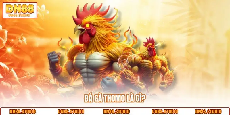 Đá gà Thomo là gì?