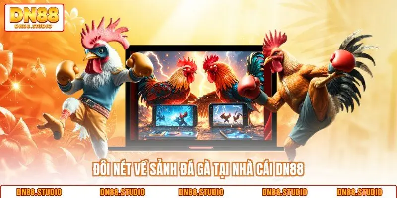 Đôi nét về sảnh đá gà tại nhà cái DN88