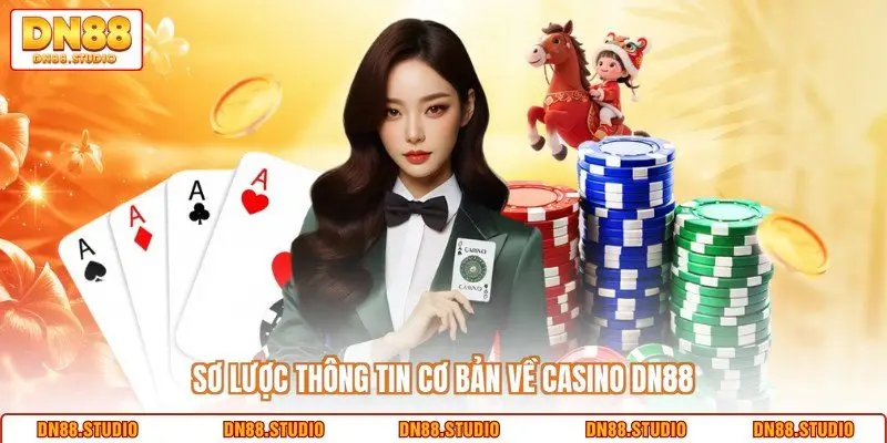 Sơ lược thông tin cơ bản về casino DN88